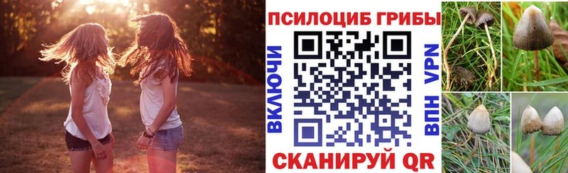 купить закладку Княгинино Галлюциногенные грибы GOLDEN TEACHER